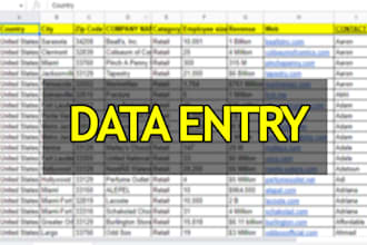 be your excel data entry expert