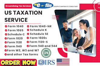 prepare and efile US tax returns for individuals and business, 1040, 1120, 1065