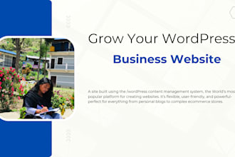 create a professional wordpress or custom coded website