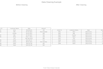 be your data analyst, experienced in customer success