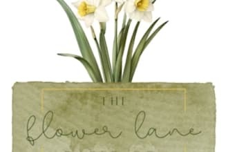 design marketing material with a natural, watercolor look