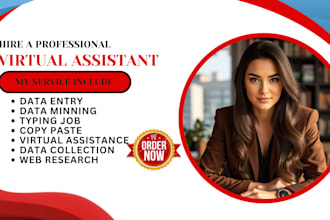 virtual assistance for data entry, data minining, data collection, copy paste