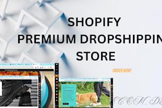help you launch a professional and profitable shopify store