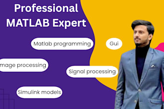 do matlab programming ,image processing, gui design