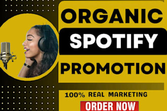 do professional spotify music promotion for your song and album
