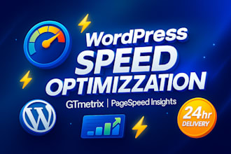 wordpress ecommerce website SEO gtmetrix, google page speed insights in 24 hour