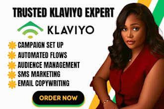 fix klaviyo flow issues, klaviyo reporting, klaviyo deliverability problems