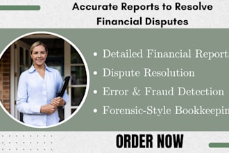 create detailed financial reports to support dispute resolution and analysis