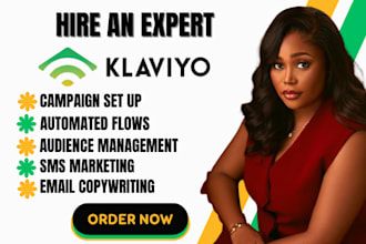 do klaviyo welcome flow abandoned cart flow klaviyo expert audit klaviyo SMS