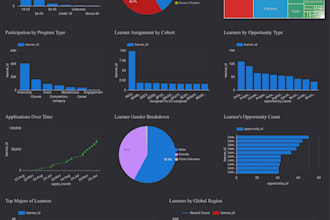 build a professional looker studio dashboard with kpis and data insights