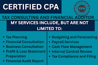 prepare and efile US tax returns for individual and business 1040, 1120, 1065