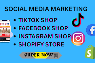 setup tiktok shop, facebook shop, instagram shop, shopify store, tiktok manager