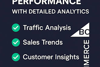 bigcommerce store performance with detailed analytics