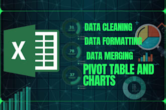 data cleaning, formatting , remove duplicate and chart in excel