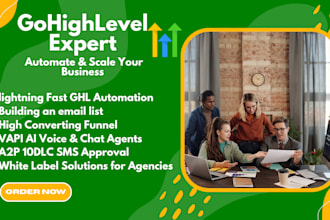 gohighlevel setup ghl workflow automation vapi ai agent ghl crm expert a2p 10dlc