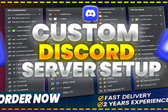 setup custom discord server within 24 hours