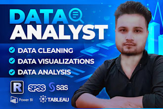 data analyst do analysis in excel and visualization