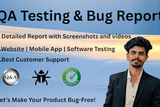 do vapt security and bug testing for web or app