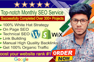 provide the best monthly SEO service for your small business