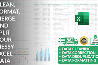 clean, format, merge, split excel data