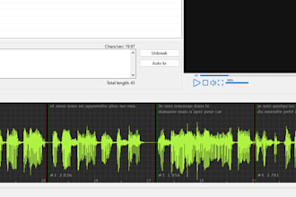transcribe and subtitle your video in french and english