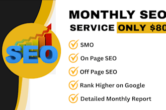 provide seo service for monthly basis
