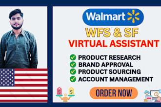 your walmart wfs wholesale expert and 2 step dropshipping virtual assistant