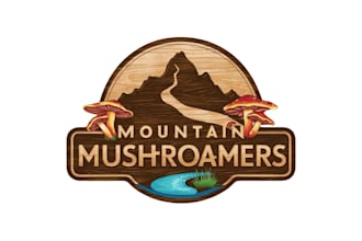 design high quality mountain, mushroam logo
