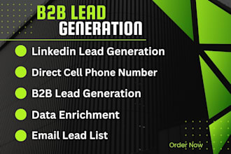 provide b2b lead generation linkedin lead direct phon data enrichment email list