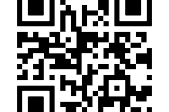 create professional qr code generator with logo in 2 hours