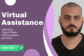 be your virtual assistant for excel, data entry, or admin support