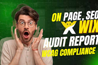 wordpress wix shopify seo on page optmization google ranking ada compliance wcag