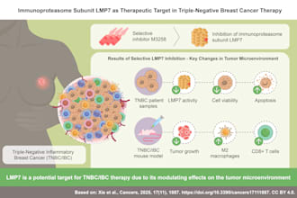 design a professional graphical abstract for your research paper