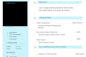 write a professional resume for students and freshers