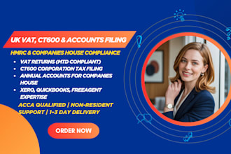 file UK vat, ct600, and company accounts with hmrc and companies house
