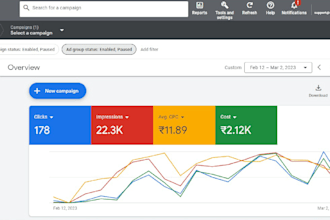 setup and optimize google ad campaigns, search ads, video ads, display ads