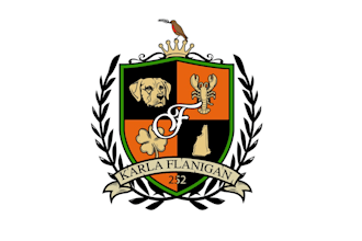 create graceful and fantastic family crest logo design