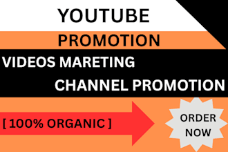 organic youtube channel  promotion  video marketing to gain more subs and views