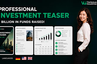 create your executive summary or investment teaser