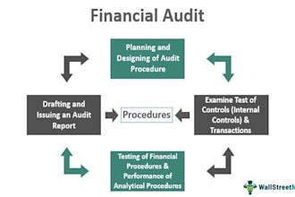 help you with auditing your financials