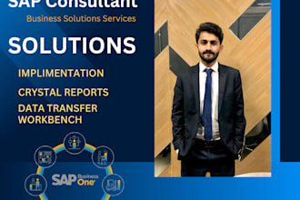 provide expert sap business one functional consultancy