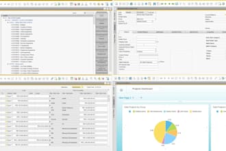 implement and configure sap business one for your business