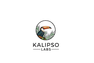 design a fantastic polygonal and origami bird logo