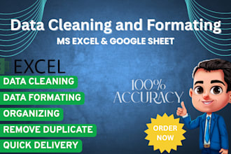 do ms excel and google sheet data cleaning, formating and fill conversion