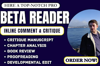 beta, alpha read book critique fantasy romance cozy mystery thriller novel