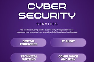 do IT risk, IT audit, digital forensics, technical writing