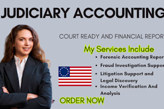 prepare court ready judiciary accounting and financial reports for legal cases