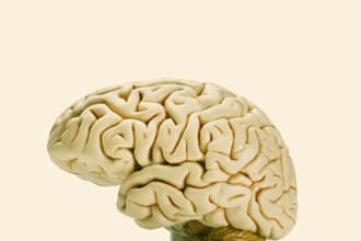 write quality social work and psychology articles