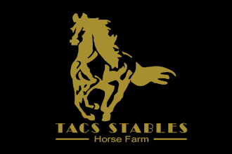 design particular equestrian center horse logo
