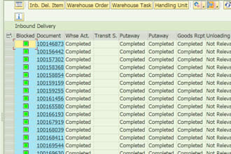 solve your sap ewm wm issues like configuration and process flows and bugs